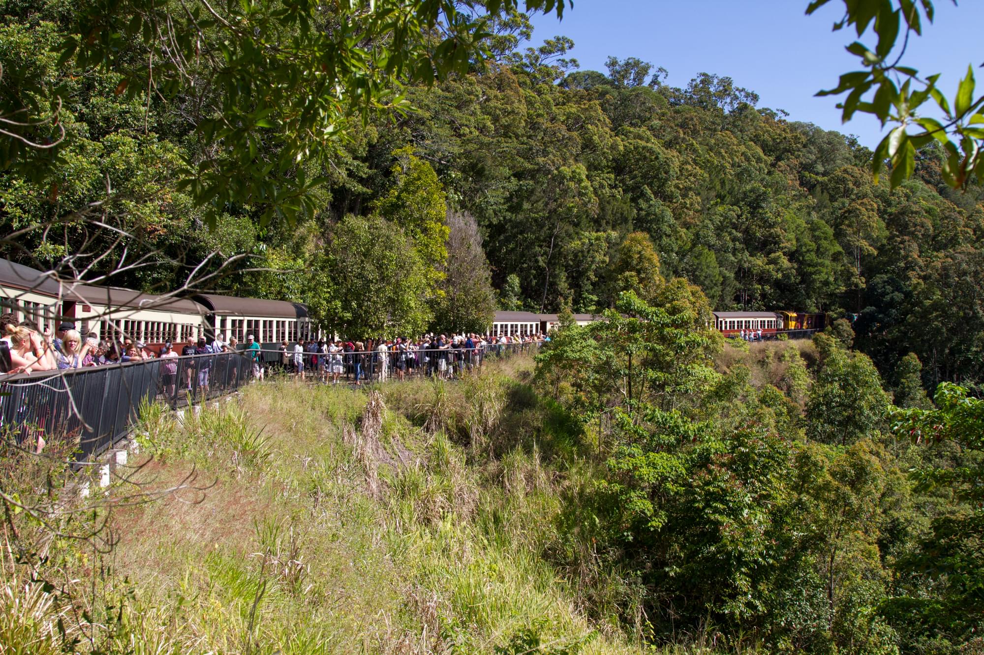 06_20150813   AUS 461   Kuranda